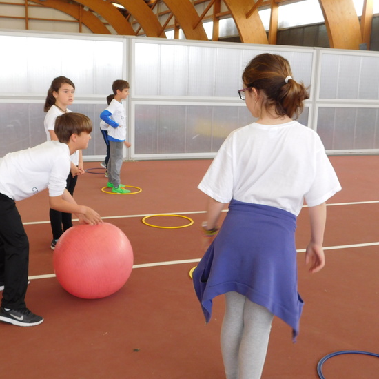 olimpiadas 3º primaria 8