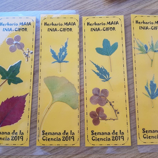 Instituto Nacional de Investigación y Tecnología Agraria 2019 (4ºESO) 2