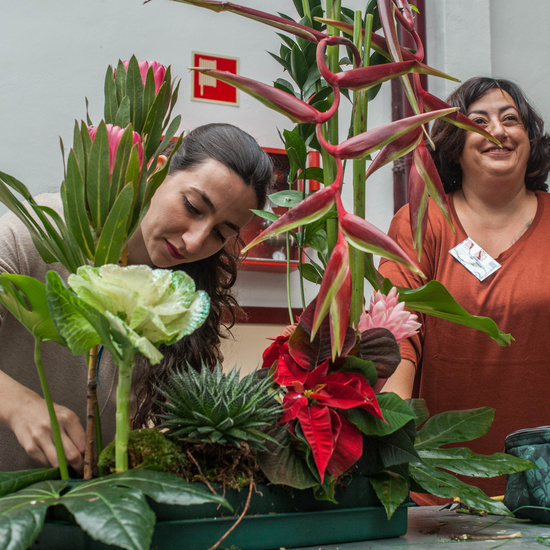 MADRID_SKILLS2016_004