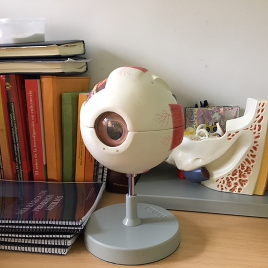 Galería CPEE Sor Juana Inés de la Cruz 18