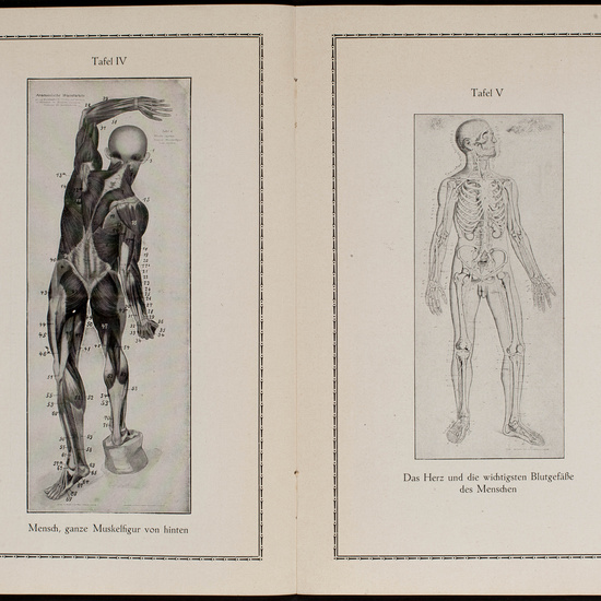 IES_CARDENALCISNEROS_CATALOGOS_111
