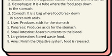 DIGESTIVE SYSTEM