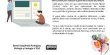 Instrucciones Tarea 4