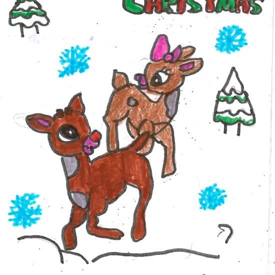 CHRISTMAS NAVIDAD 2018 18