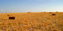 Paja recojida en el campo, Segovia, Castilla y León