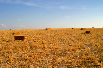 Paja recojida en el campo, Segovia, Castilla y León