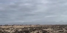 Exploring UNESCO Heritage - Doñana