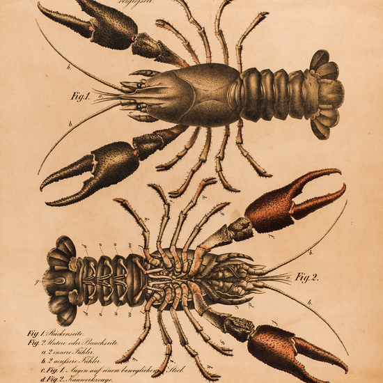 IES_LOPEDEVEGA_CIENCIASNATURALES_020