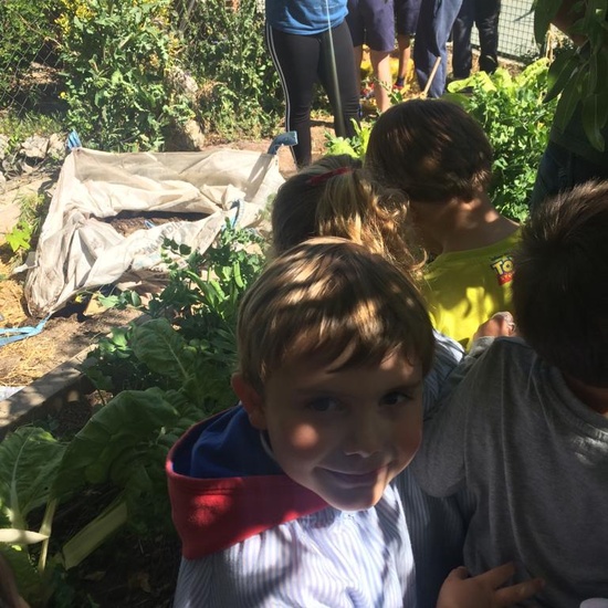 2019_05_Los alumnos de 4º en el Huerto_CEIP FDLR_Las Rozas 9