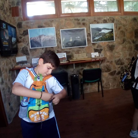 Camino de Santiago 8