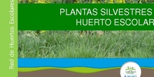 plantas silvestres