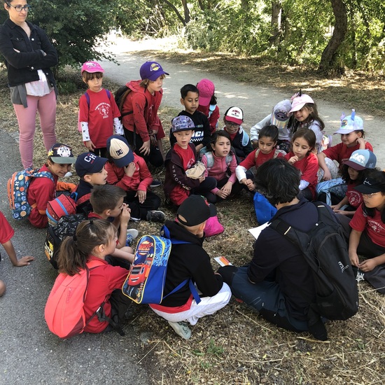 Bosque Metropolitano 1ºA