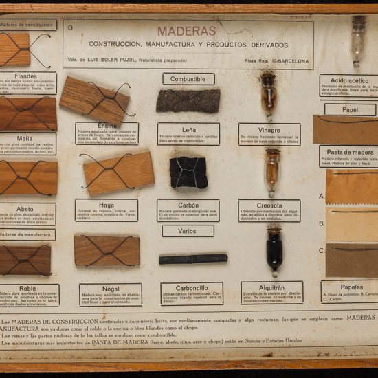 IES_SANISIDRO_MUSEO_023