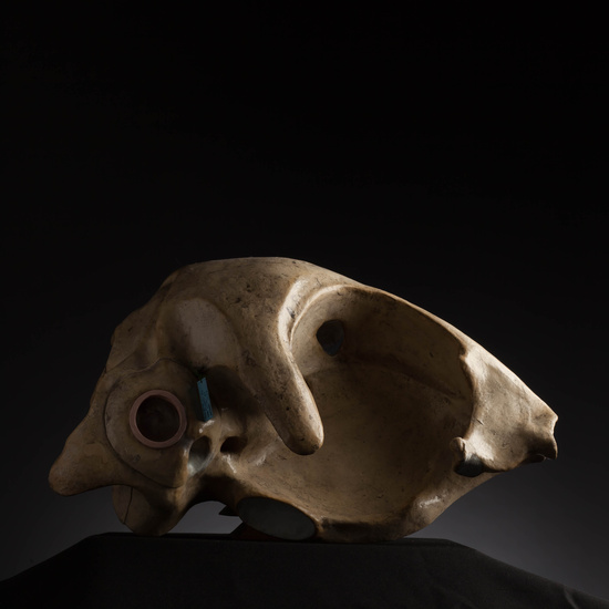 IES_CARDENALCISNEROS_ANATOMIA_MODELOS_115