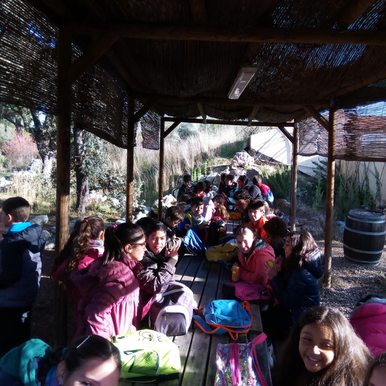 VISITA A GREFA. 5º CURSO 1