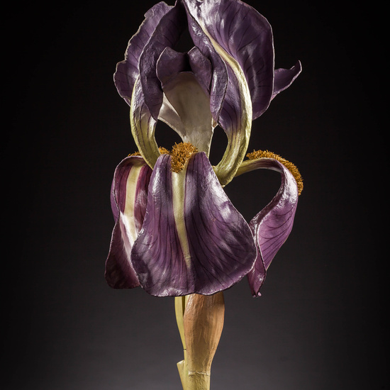 IES_SANISIDRO_MUSEO_Botanica_028