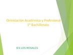 Orientacion Academica-Profesional del Curso18-19 - 1º Bachillerato