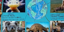 Proyecto animales en extinción 2