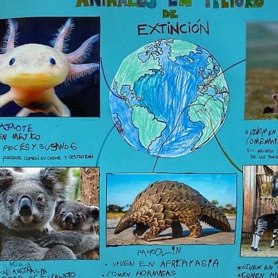 Proyecto animales en extinción 2