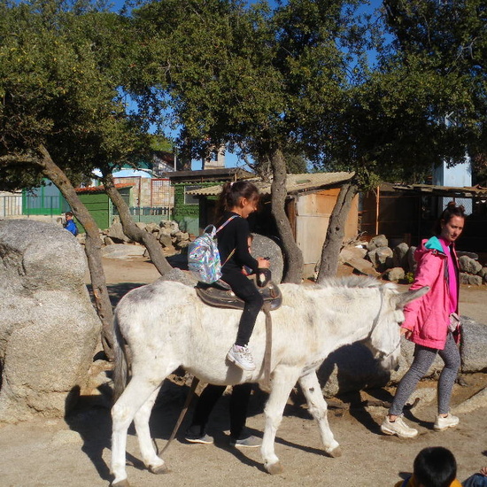 SALIDA A GRANJA ESCUELA EL PALOMAR (Chapinería ) 5