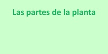 partes de las plantas
