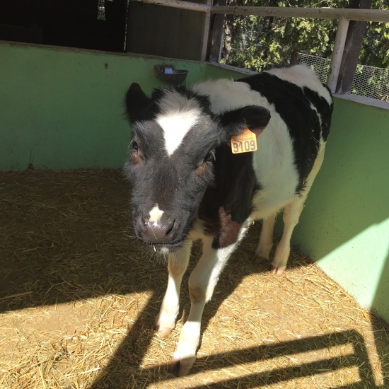 4º en la Granja Escuela El Rodeo. 14