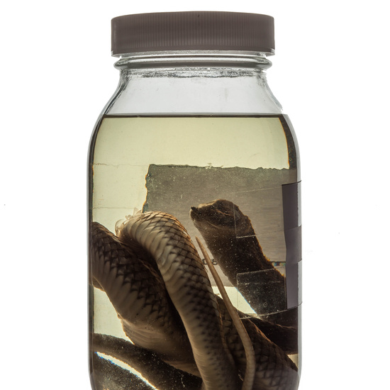 IES_RAMIRODEMAEZTU_BIOLOGIA_064