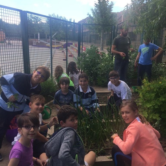 2019_05_Los alumnos de 4º en el Huerto_CEIP FDLR_Las Rozas 8
