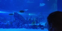 FOTOS AQUARIUM 3 23