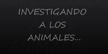 Investigando animales