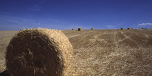 Paja recojida en el campo, Segovia, Castilla y León