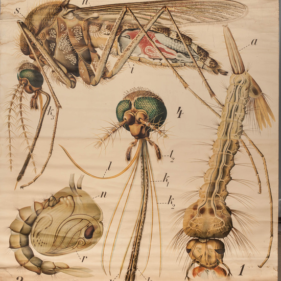 IES_RAMIRODEMAEZTU_BIOLOGIA_034