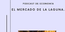 Plan de trabajo proyecto STEM El  Mercado de la Laguna