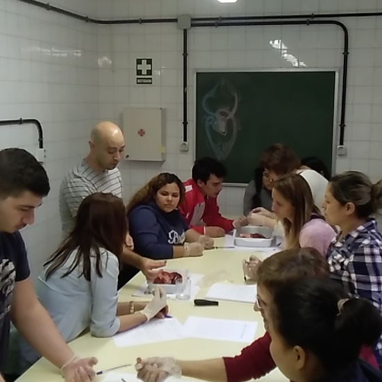 Jornadas Ciencia 2019_Disección (2)