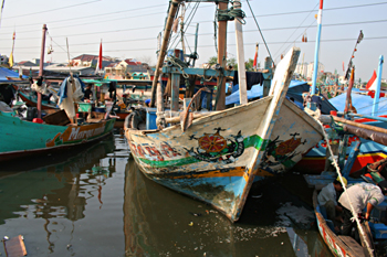 Barcos pesqueros, Jakarta