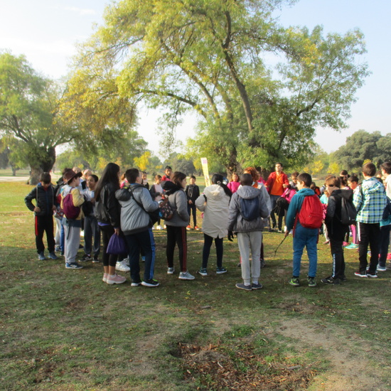 EN MÚLTIPLE 6º - 2019 12