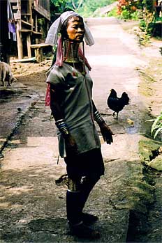 Mujer jirafa erguida, Tailandia