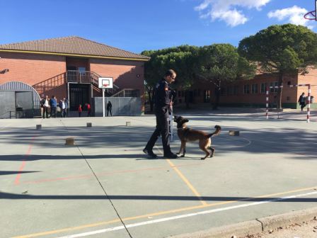 La Unidad Canina de la Policia Municipal de Las Rozas visita el cole_CEIP FDLR_Las Rozas_2017  8