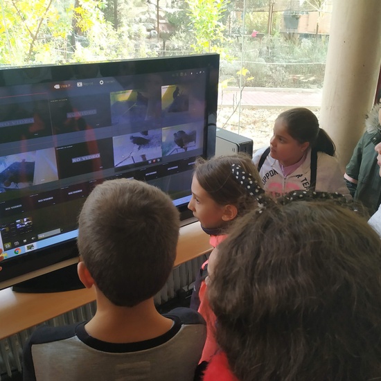 Salida 5º de Primaria al centro recuperación animal GREFA 2