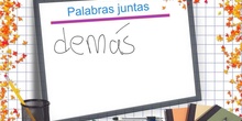 PRIMARIA 6º - DIFERENCIAMOS PALABRAS - LENGUA Y LITERATURA - FORMACIÓN