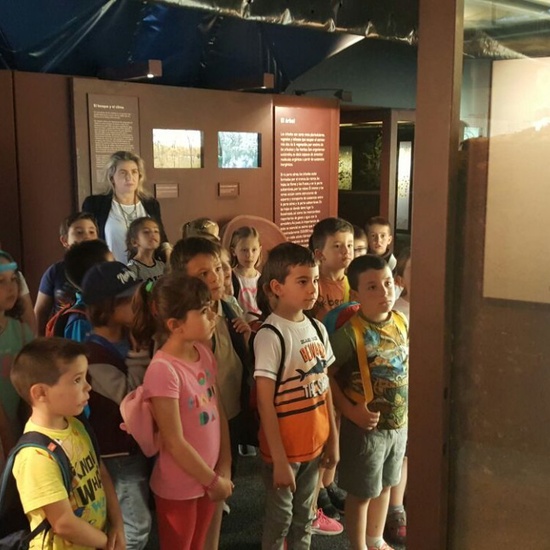 Visita a la exposición El Bosque. 1º 2º Primaria. CEIP Pinocho. 2016/17 22