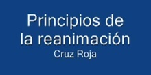 Principios de la reanimación
