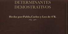 DETERMINANTES DEMOSTRATIVOS