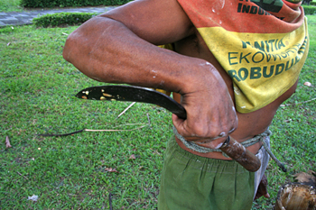 Recolector de vino de Palma, Jogyakarta, Indonesia