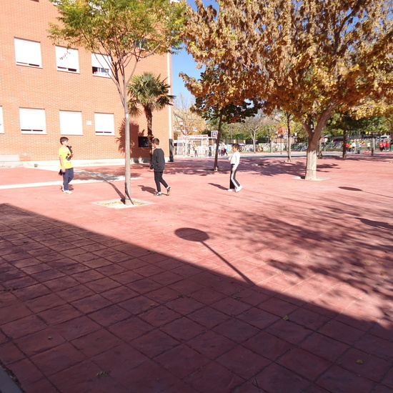 FOTOS SOLADO PATIO 4