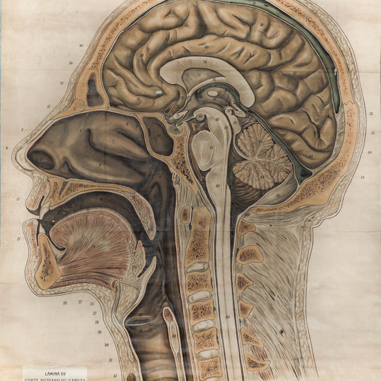 IES_SANISIDRO_LAMINAS_041