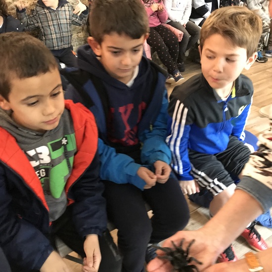 2020_02_27_3º visita Insectpark (5)_CEIP FDLR_Las Rozas 25