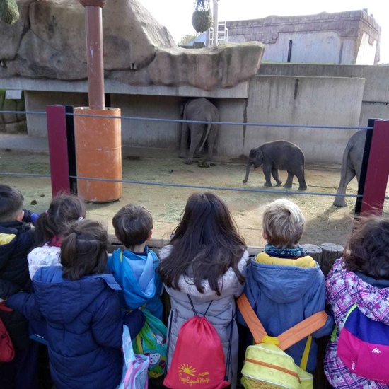 ZOO DE LA CASA DE CAMPO 2
