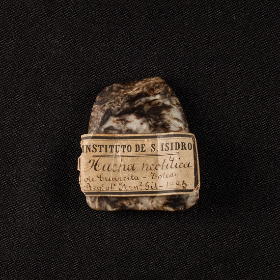 IES_SANISIDRO_MUSEO_Paleologia_006