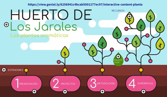 complemento actividad 6.1 